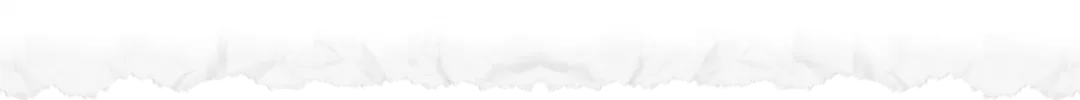 Paper Pattern flipped